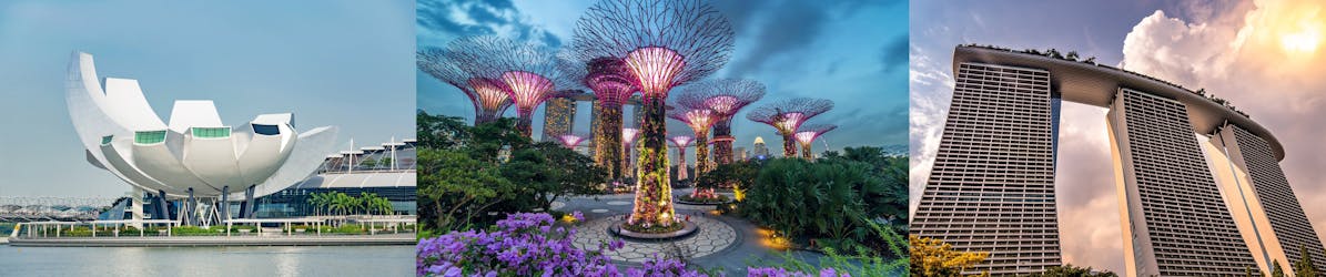 Gardens by the Bay, Skypark, Future World, off-peak combo ticket